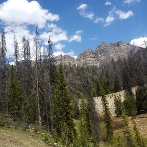 Meet your Posher, Elijah